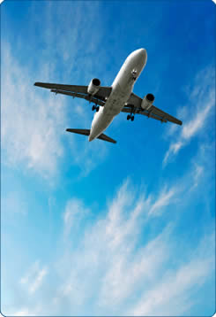 Airplane Training, Related Websites Airplane in Flight
