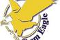 Team Eagle Ltd