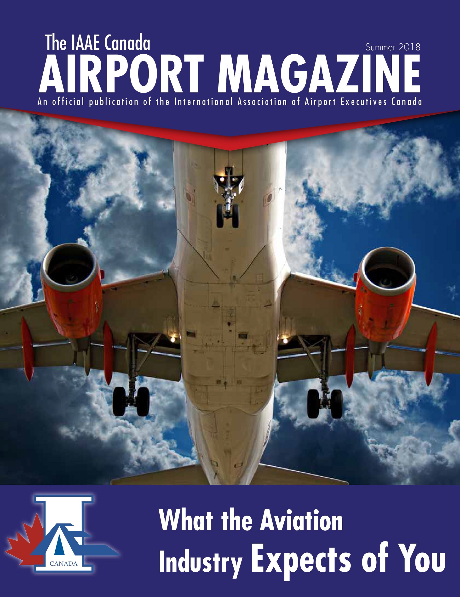 spring 2018, what the aviation industry expects of you